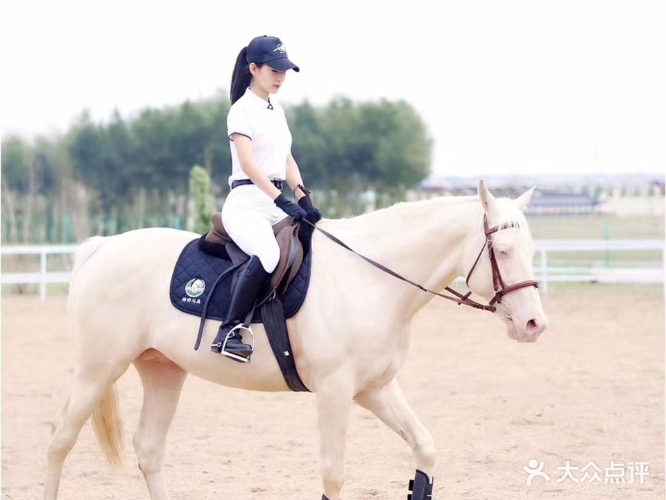 乌市宏城马术休闲馆