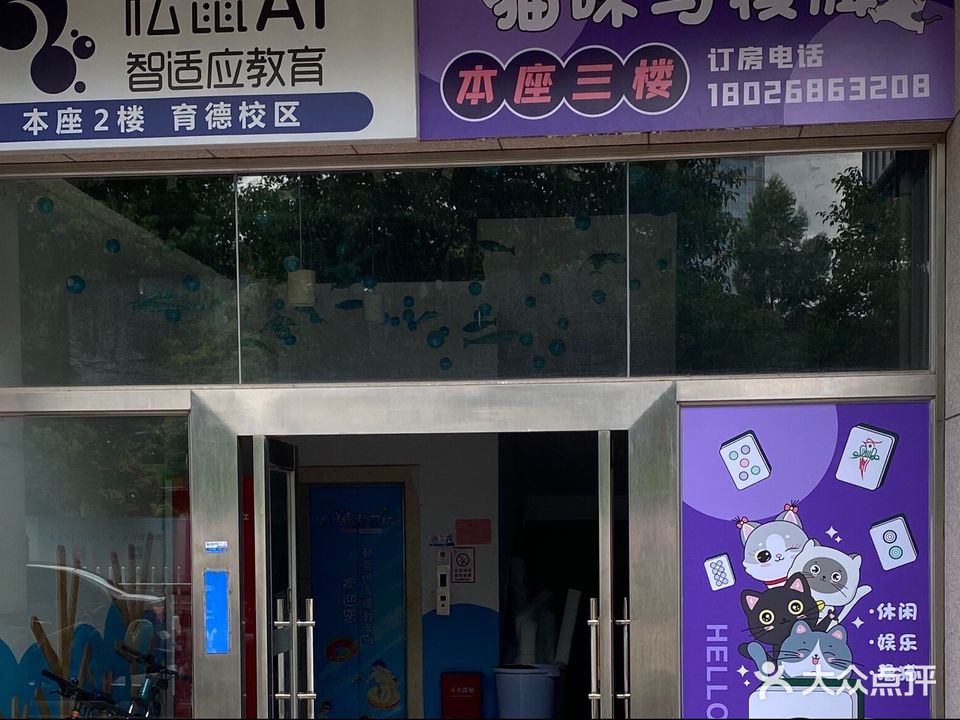 猫咪与棋牌