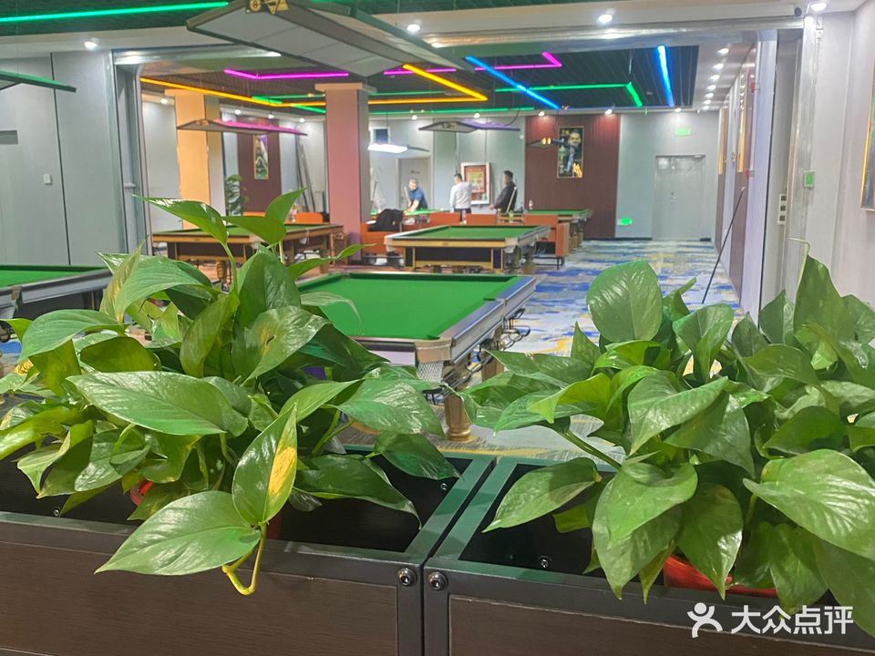 莱斯台球俱乐部