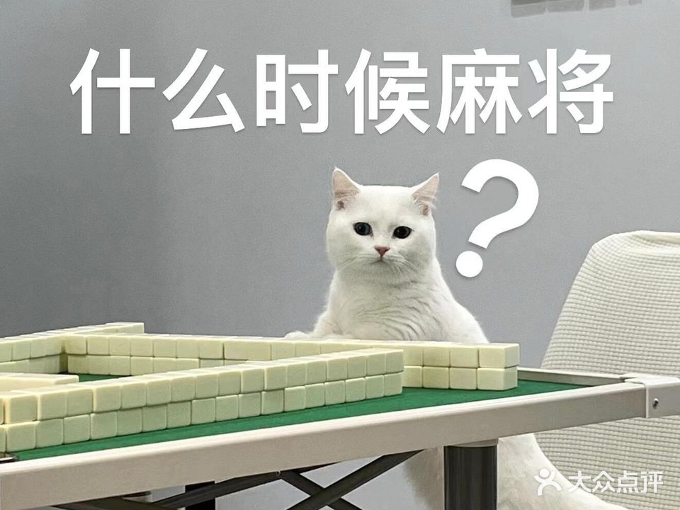 国粹棋牌室(南州北路店)