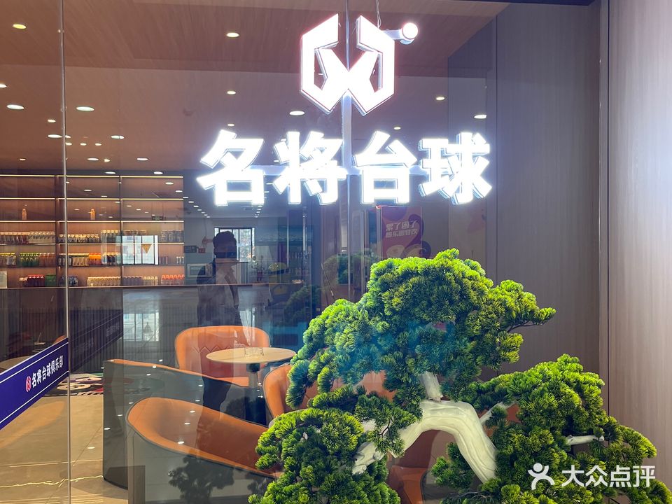 名将台球(玉林店)