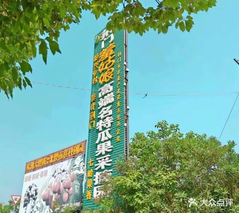 羞姑娘瓜果园