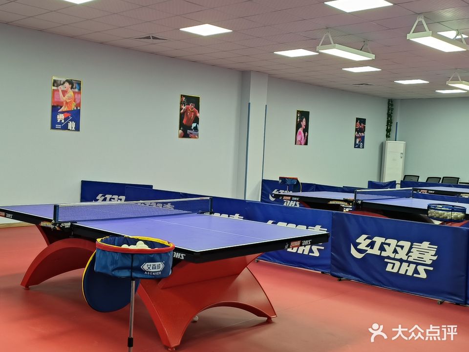 极励乒乓球俱乐部(铭传路店)