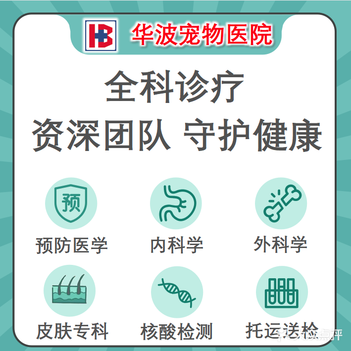 华波宠物诊疗中心