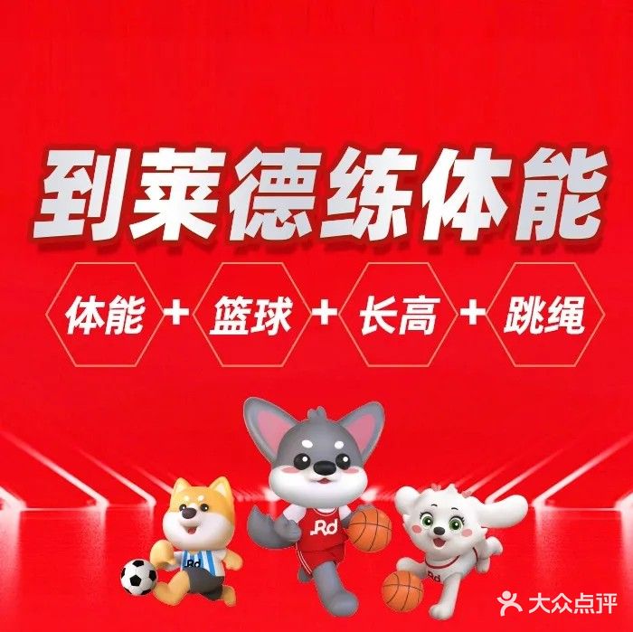 莱德队长儿童篮球体适能运动中心(东方龙城店)