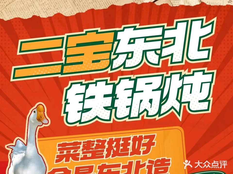 二宝家铁锅炖鱼鹅(华山安置区春华居店)