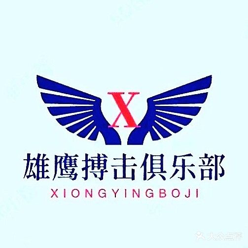 雄鹰搏击