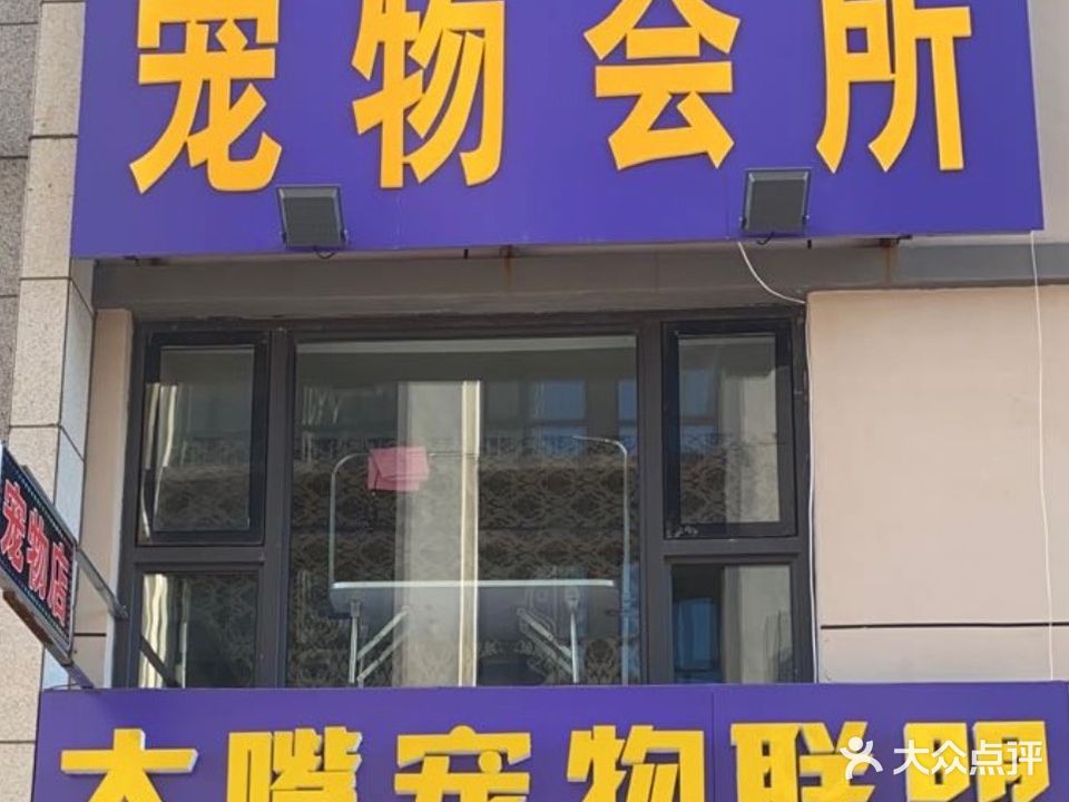 大嘴宠物联盟