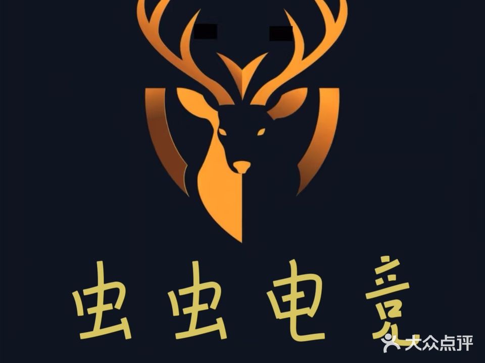 虫虫网吧(金龙大道店)