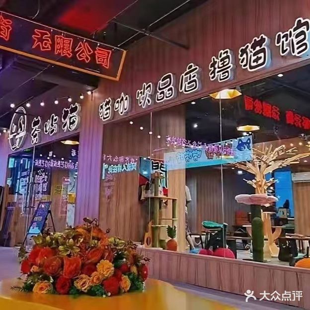 茶屿猫猫咖(中环广场店)