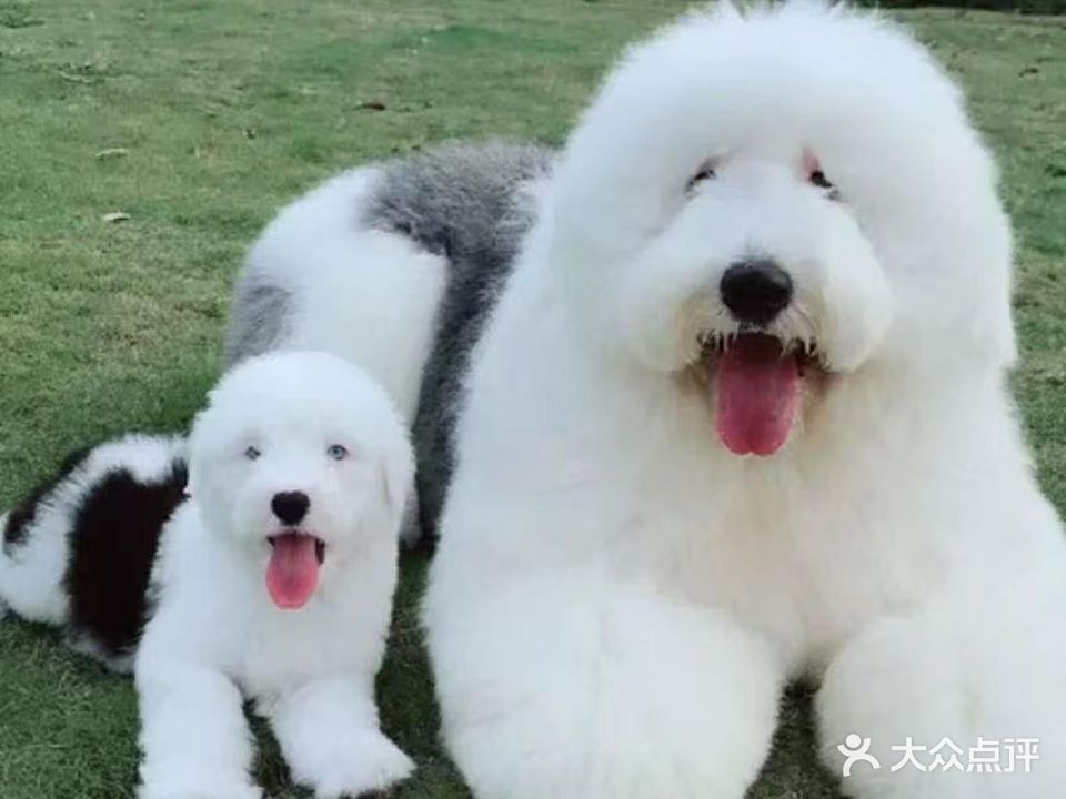 皮班长(池州店)