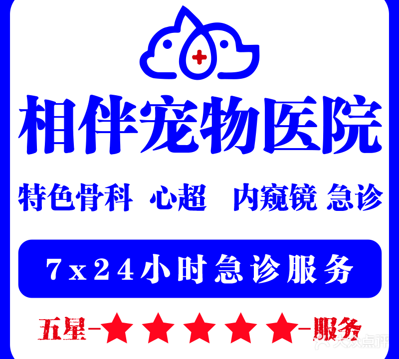 相伴宠物医院(华英城分院)