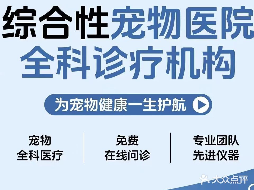 路酷宠物医院(中山大道店)