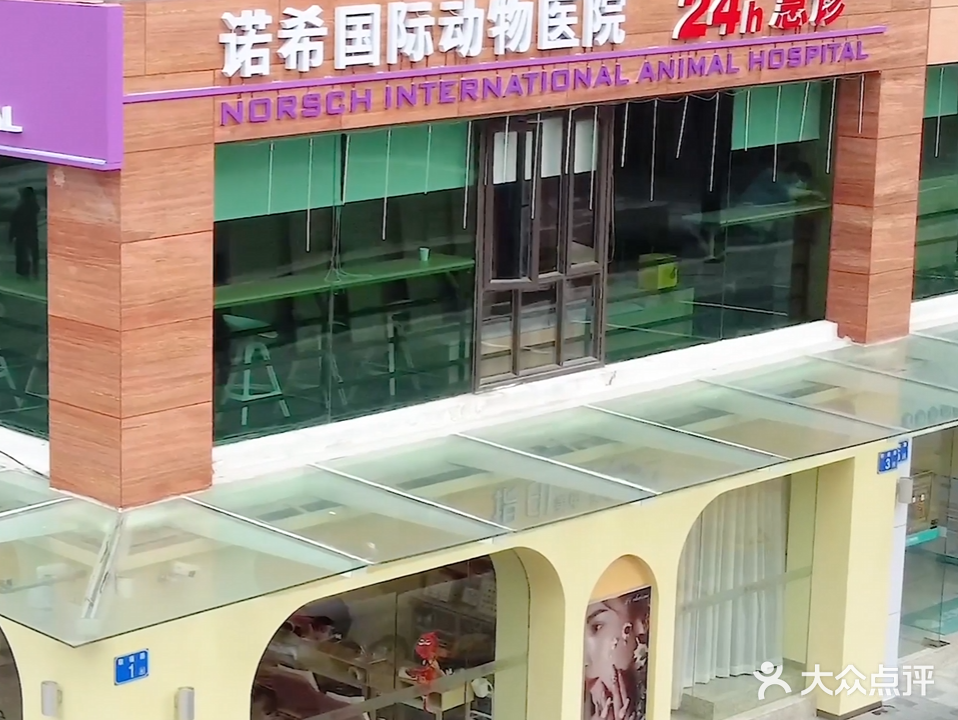 诺希国际动物医院