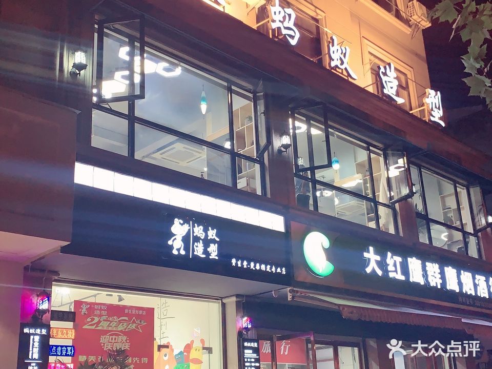 蚂蚁造型
