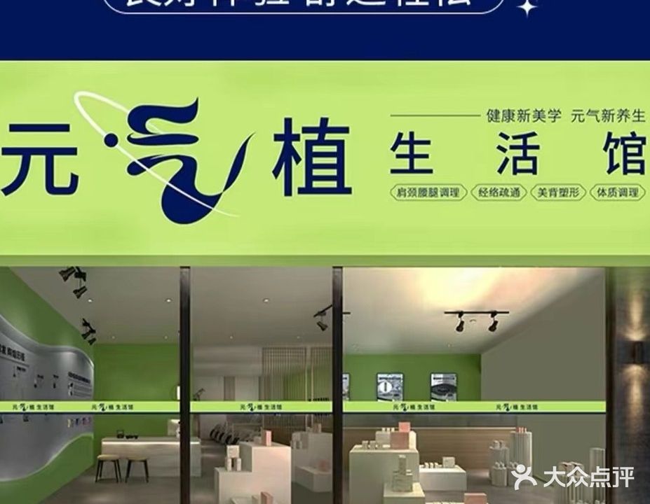 意澜阁元气植