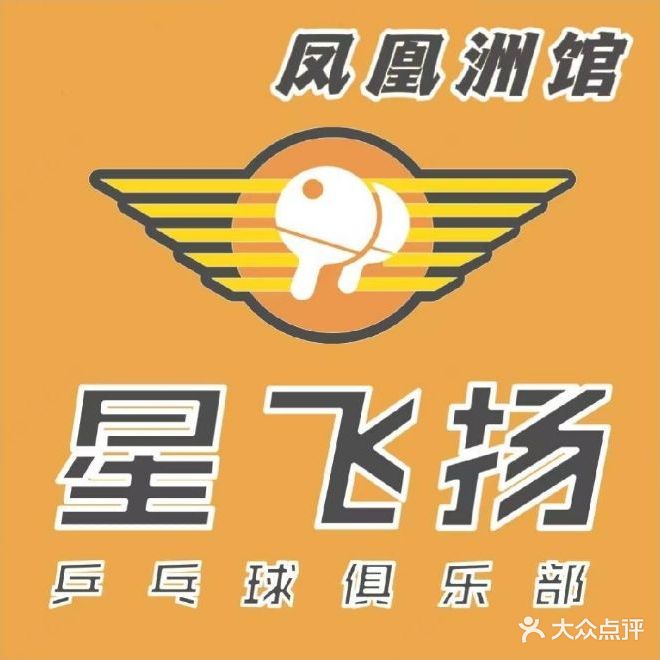 星飞扬乒乓球俱乐部(凤凰洲店)