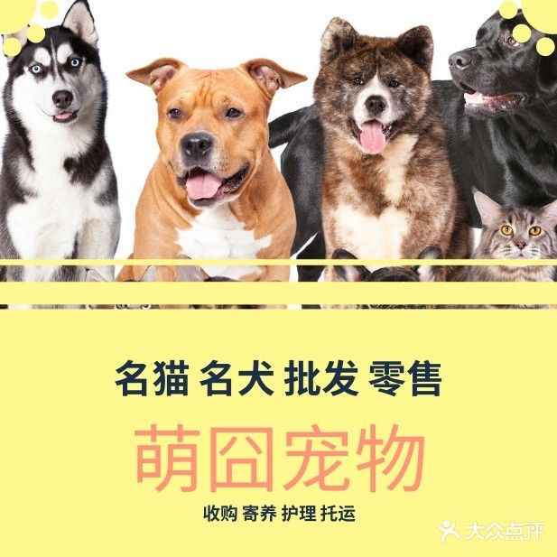 萌囧犬舍