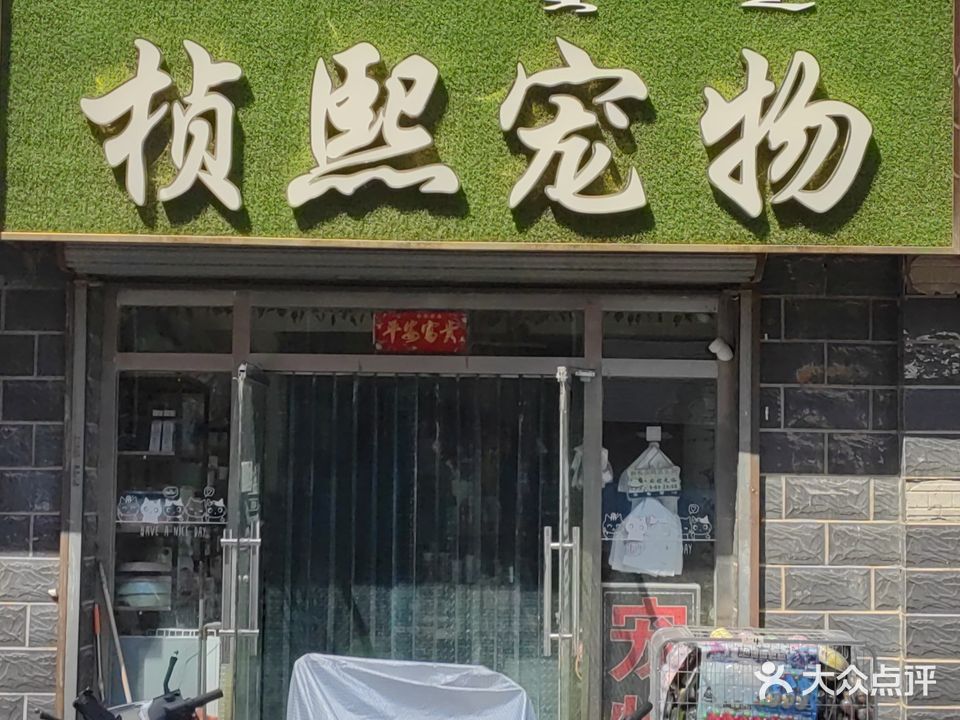 桢馨宠物