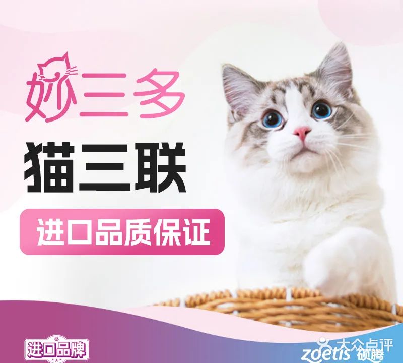 匠心动物医院