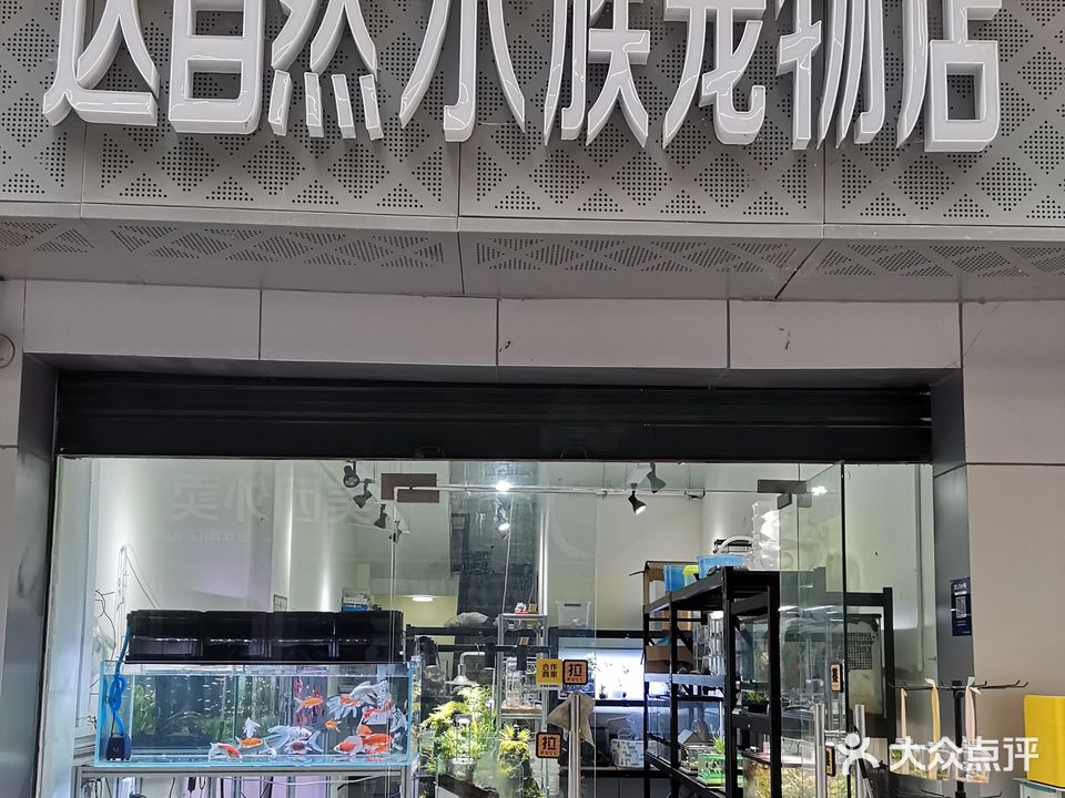 达自然水族宠物店