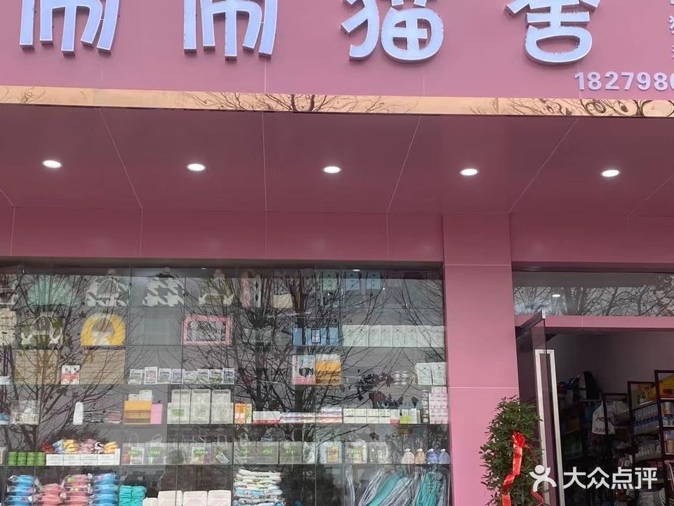 now闹猫舍