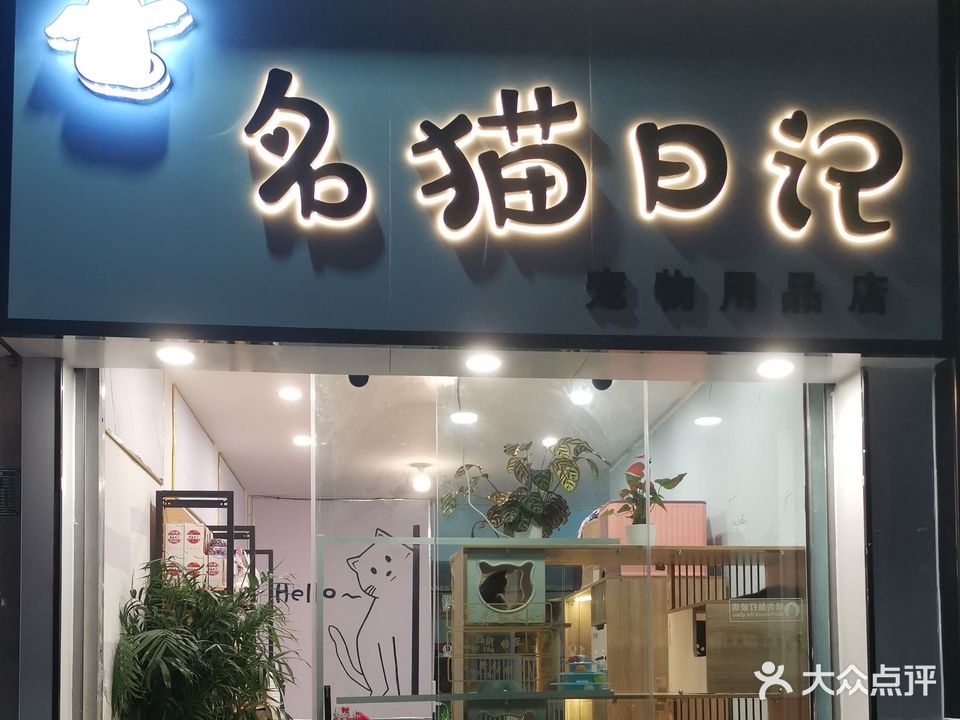 名猫日记
