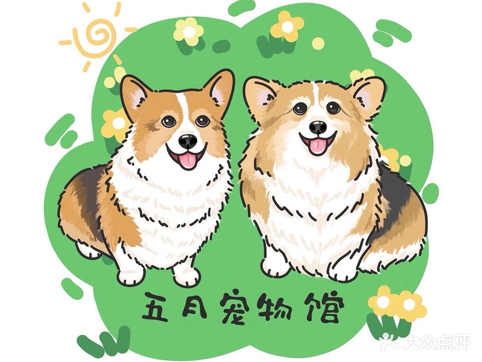 五月宠物馆