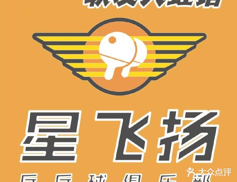 星飞扬乒乓球俱乐部(联发天虹店)