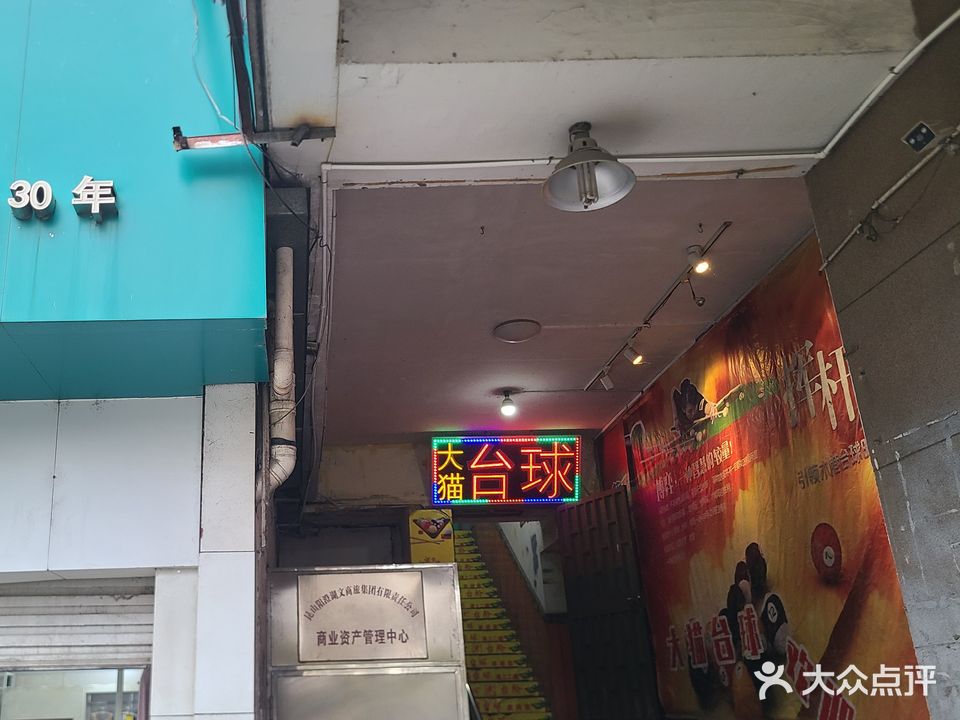 大猫台球