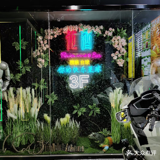 花酒精酿台球