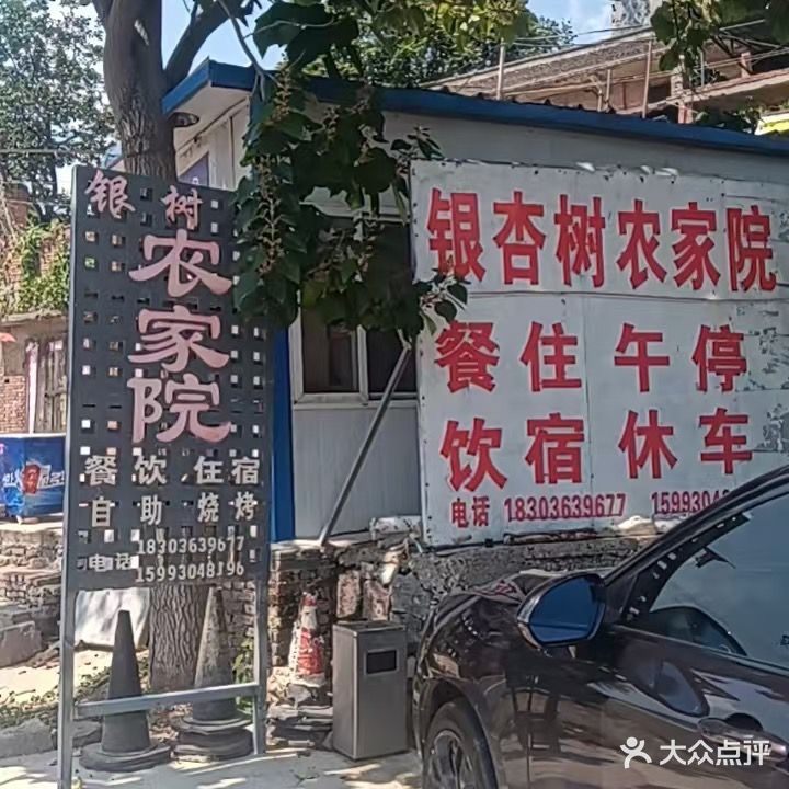 银杏树农家乐