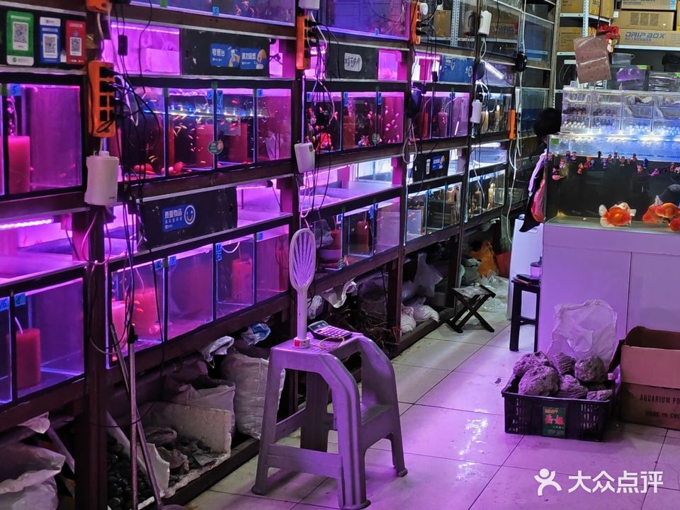 隆豪水族
