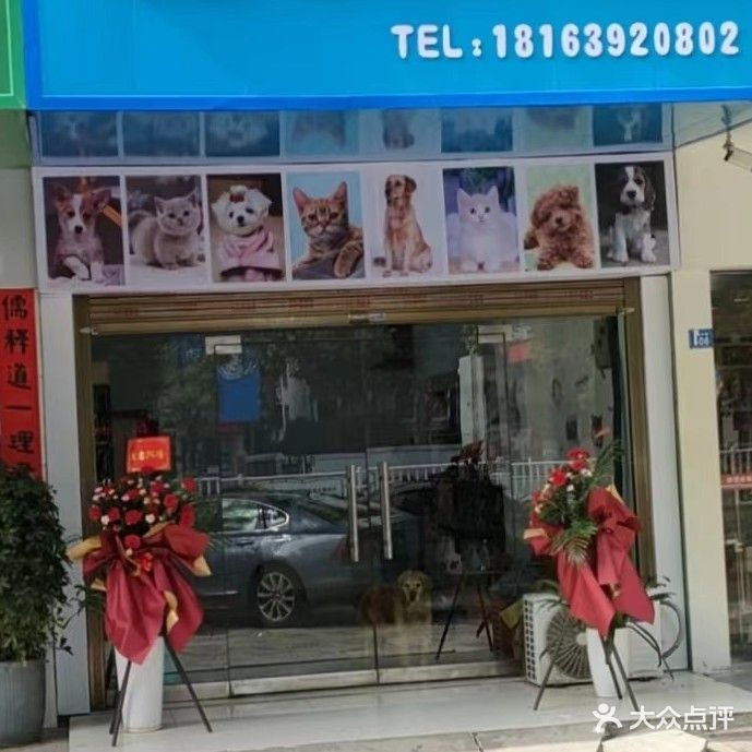 喵屿犬岸宠物生活馆(三和大厦店)