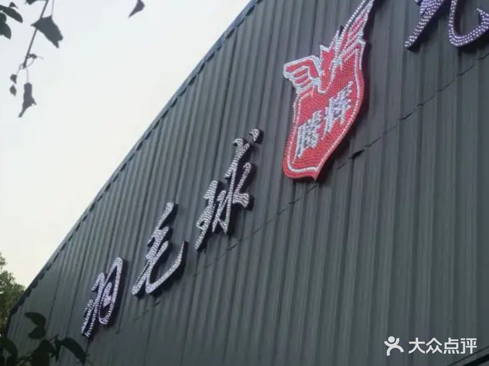 腾辉羽毛球气排球馆