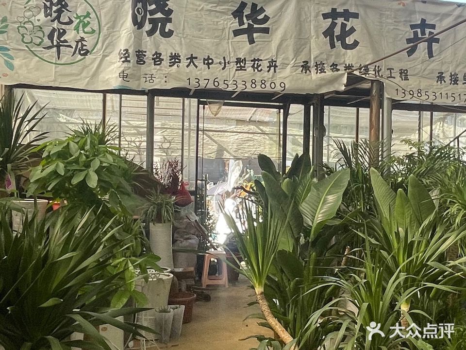 晓华花卉店