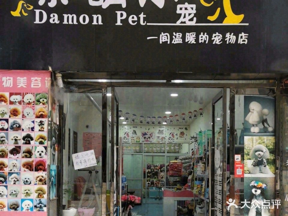 呆萌小宠(东石嘴步行街店)