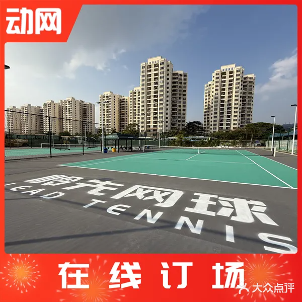 岭先网球