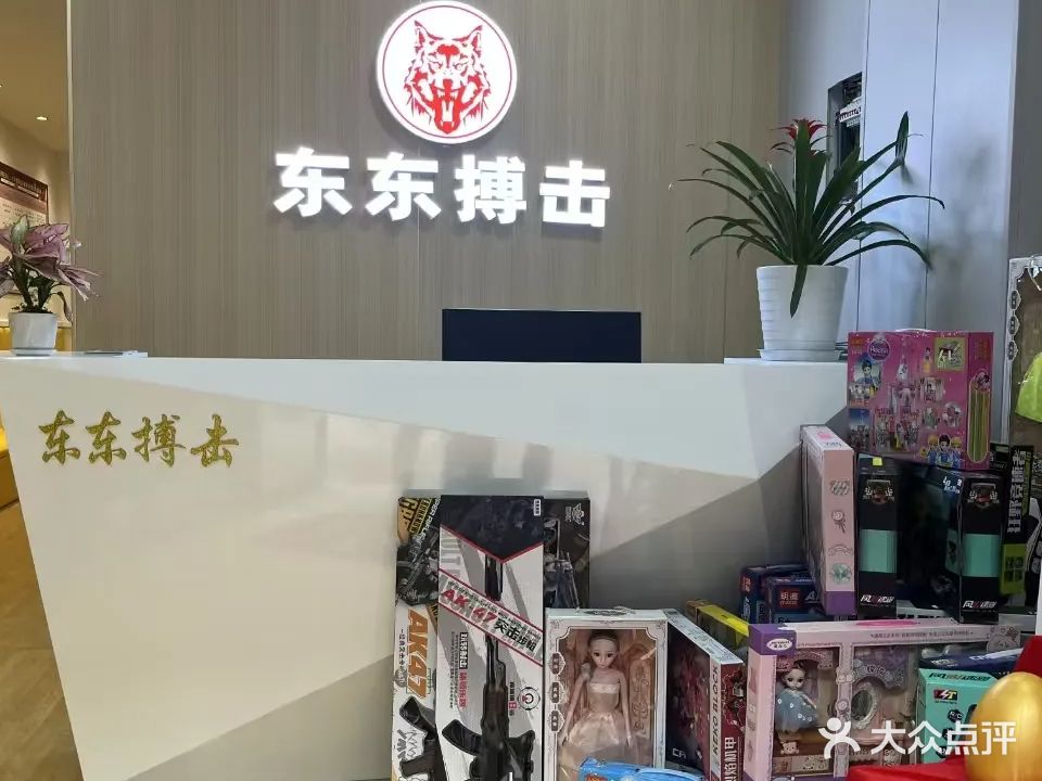 东东搏击