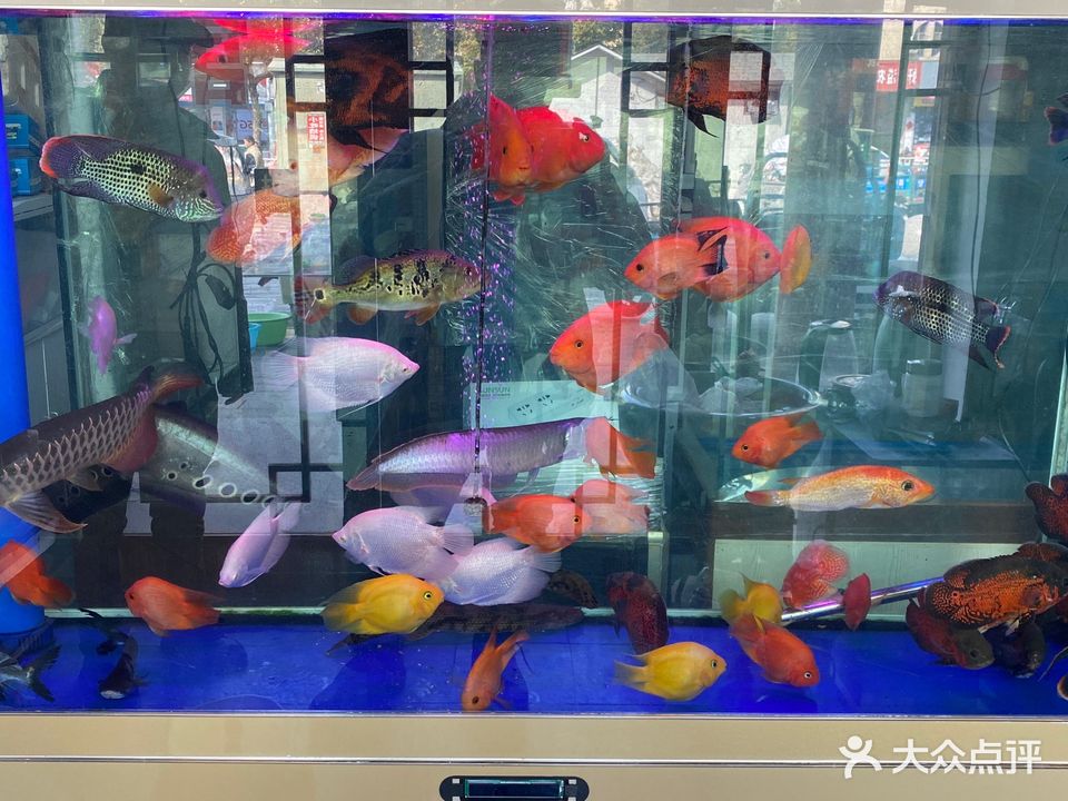 鱼你有缘水族馆