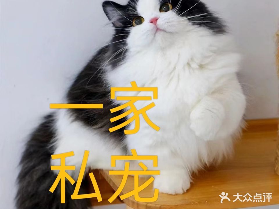 一家私宠