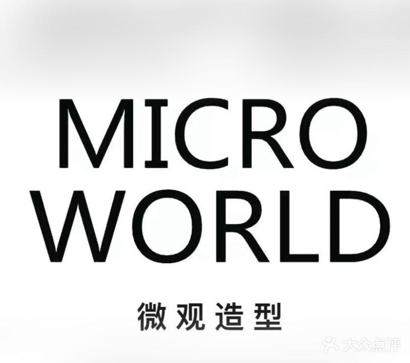 微观造型