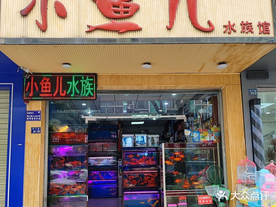 小鱼儿水族馆(岷江路店)