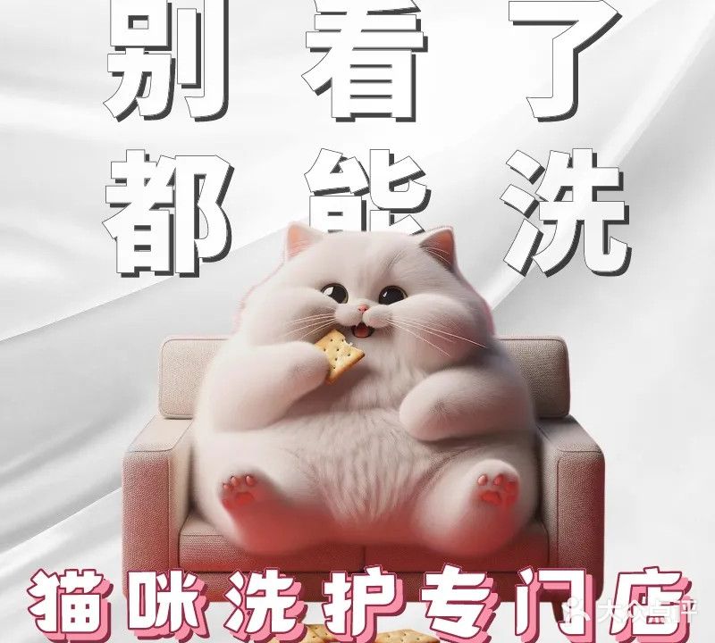 悠哉猫舍·专业猫咪洗护寄养(凉都·人和园店)