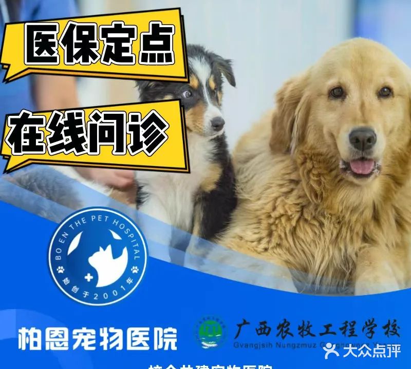 柏恩宠物医院(西环路店)