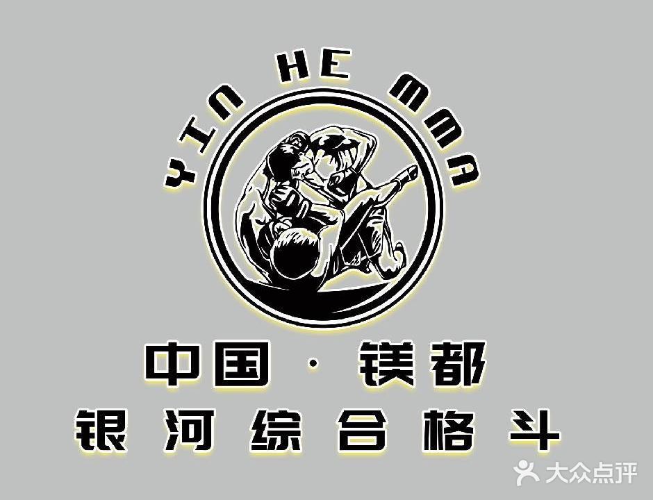 银河综合格斗