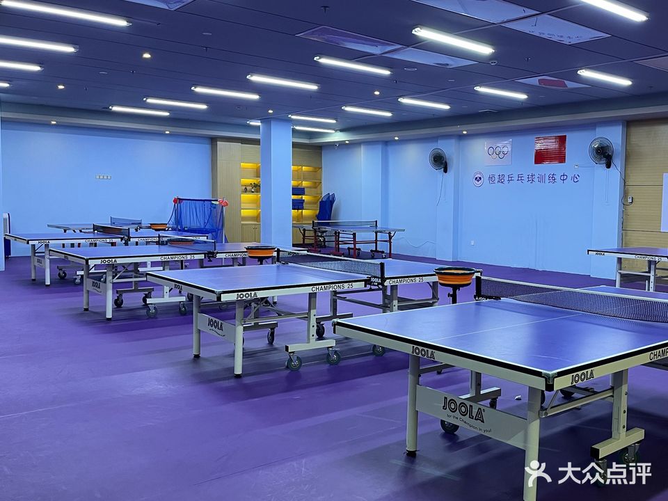 恒超乒乓球训练中心(中信华庭店)