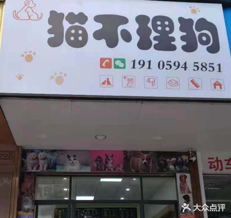 猫不理狗