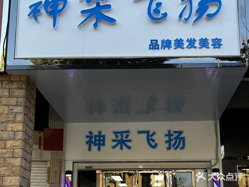 神采飞扬
