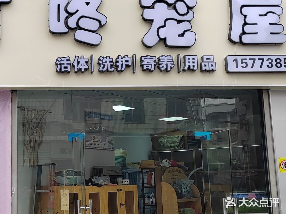 叮咚宠屋